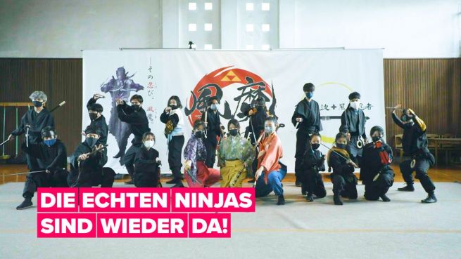 go to Die Ninjas sind zurück!