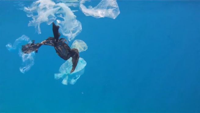 go to Plastikfreie Ozeane: Niederländer will Meere säubern
